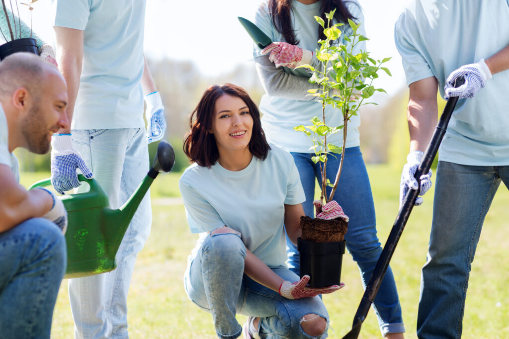 group of volunteers planting tree in park to encourage connectivity at you events
